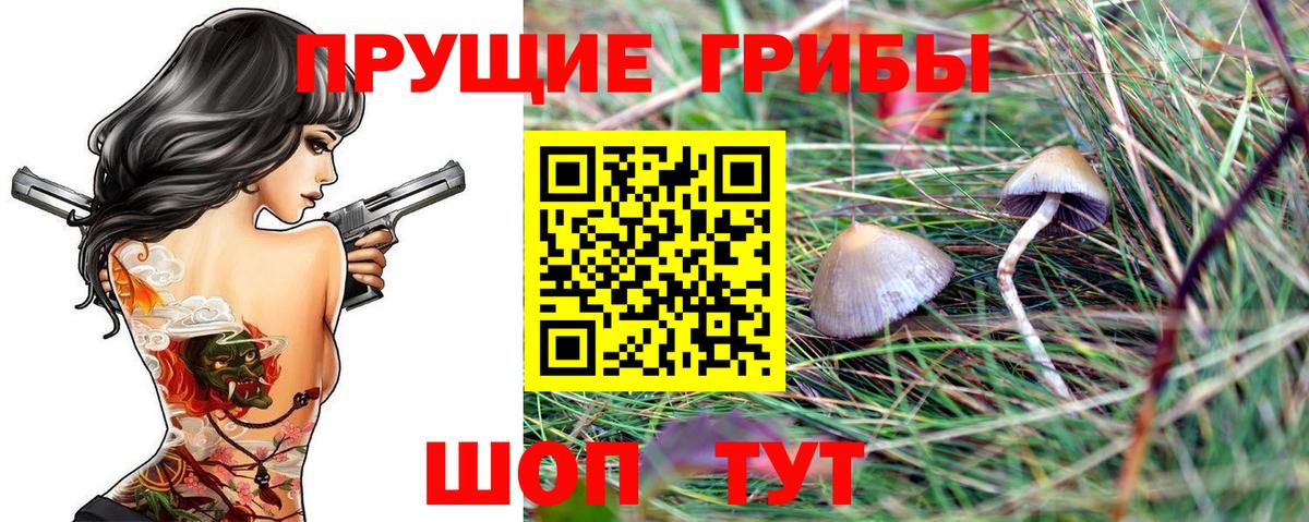 Галлюциногенные грибы прущие грибы Шарыпово