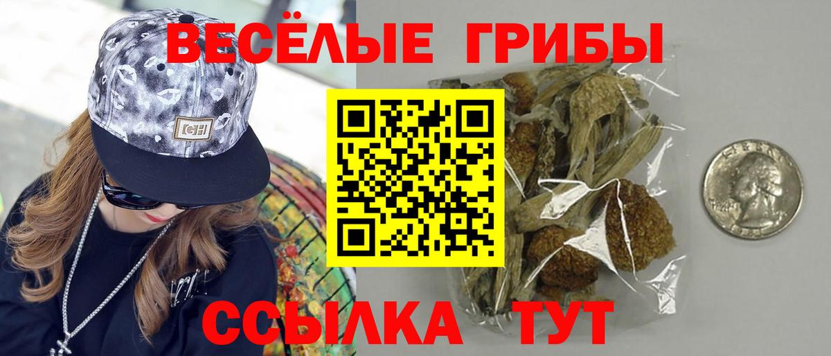 Галлюциногенные грибы ЛСД  Псилоцибиновые грибы мухоморы  Шарыпово  Вход с VPN 